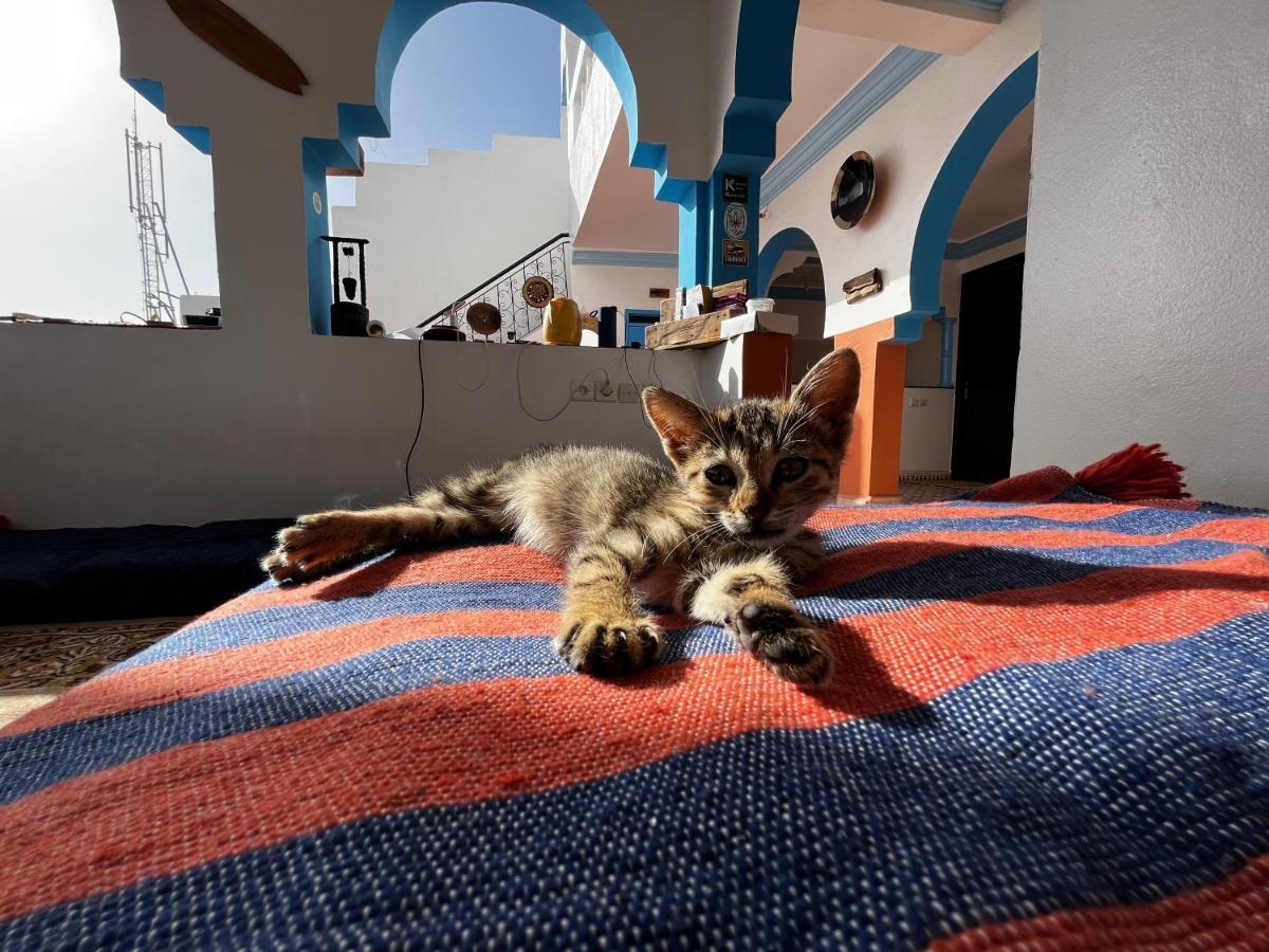 Binic Surf House Bed & Breakfast Taghazout Exterior photo